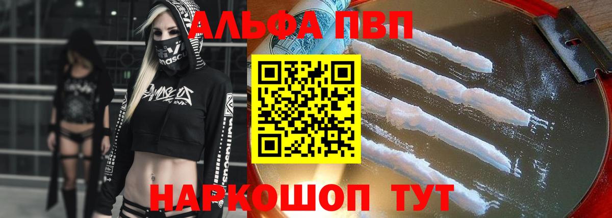 Alfa_PVP СК Северск