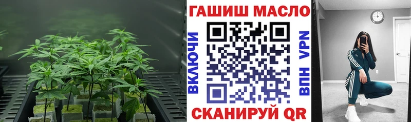 наркота  Северск  Дистиллят ТГК гашишное масло 