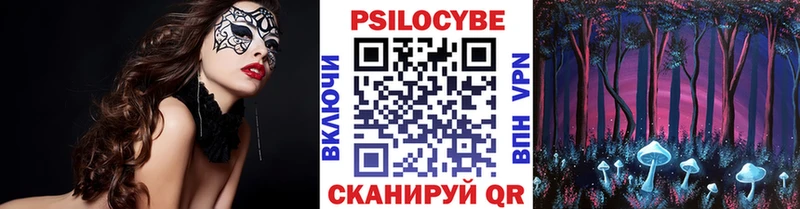 Псилоцибиновые грибы GOLDEN TEACHER  продажа наркотиков  Северск 