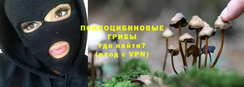 Галлюциногенные грибы GOLDEN TEACHER  продажа наркотиков  ОМГ ОМГ tor  Северск 