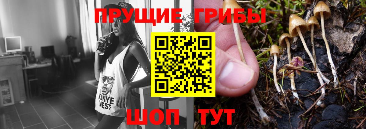 Северск  Галлюциногенные грибы мухоморы  Вход с VPN 