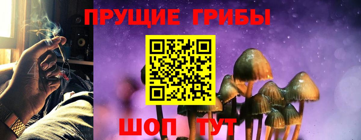 Псилоцибиновые грибы мицелий  Галлюциногенные грибы мухоморы  где купить наркоту  Северск 
